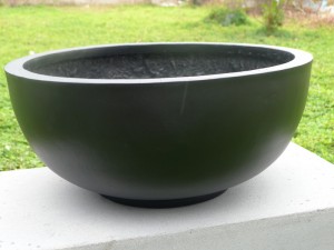 tin-tuc/cuoi-cung-da-quay-tro-lai-chau-trong-cay-va-chau-hoa-xxl-59
