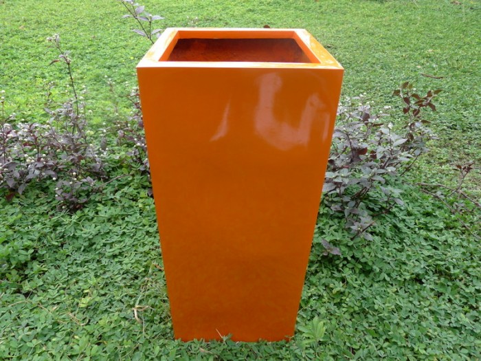 tin-tuc/trien-vong-cho-mua-xuan-chau-cay-co-do-bong-cao-mau-cam-va-xanh-la-cay-48