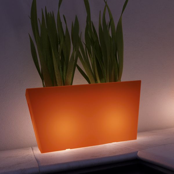 tin-tuc/khu-vuon-bung-sang-vach-ngan-phong-xxl-moi-luminoso-50